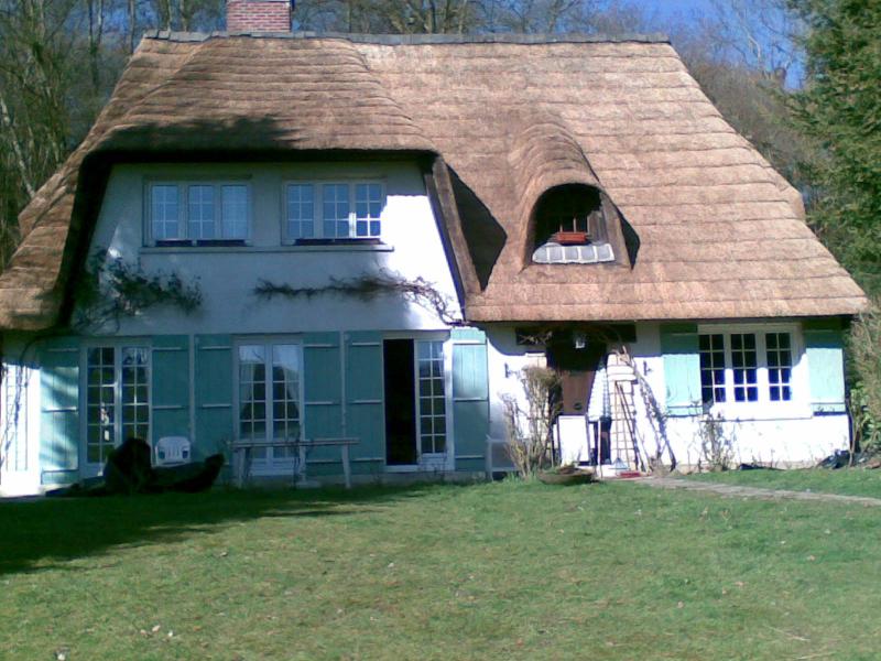 maison avec un toit de chaume