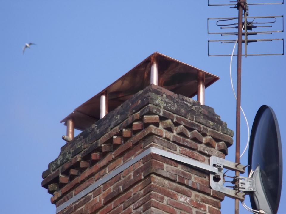 maison avec un toit de chaume